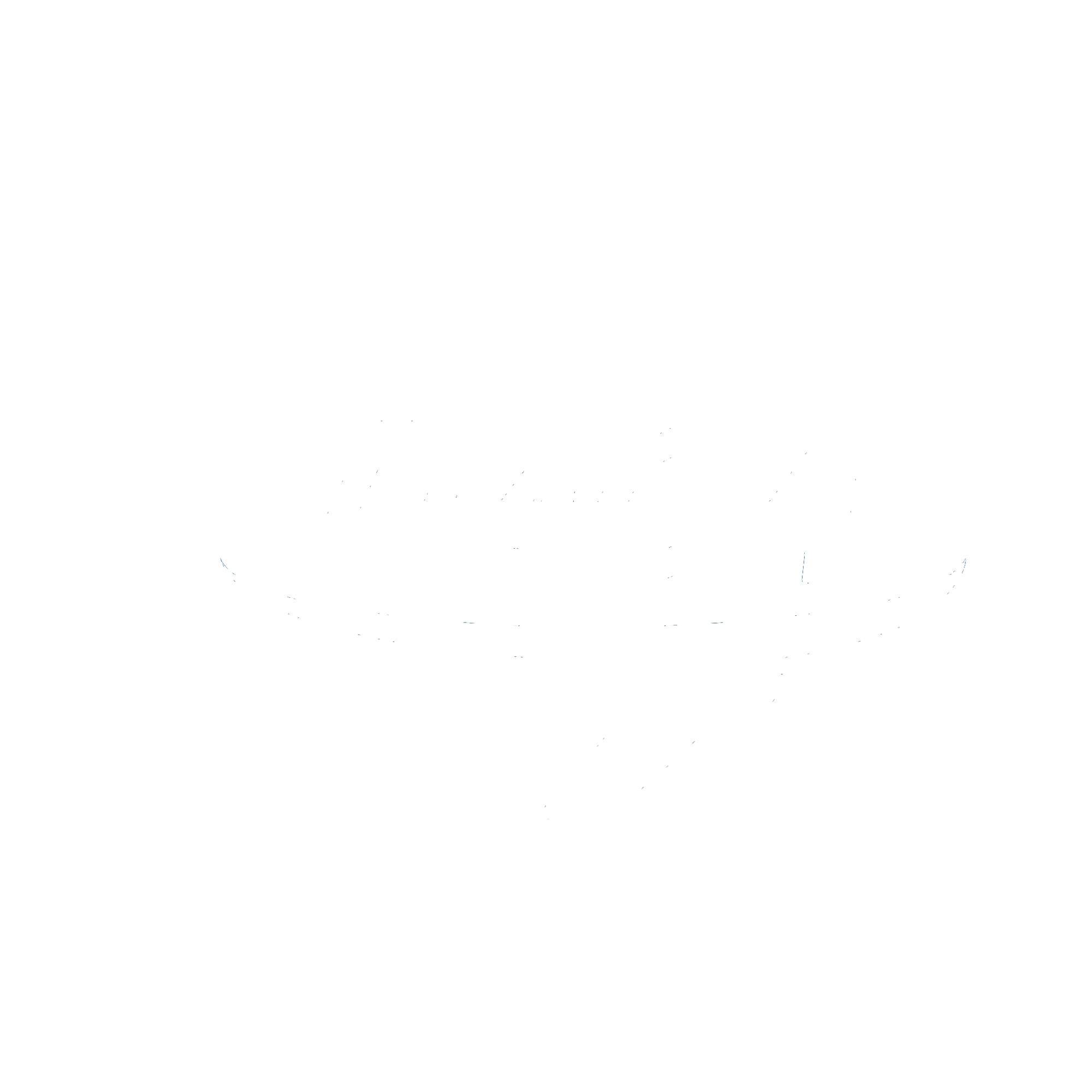 TIACA-OFFICIAL-LOGO-2018-white