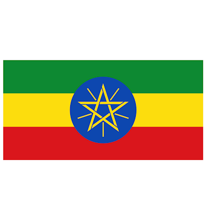TRAXON Global Customs will be ready for Ethiopian Customs new filing requirement, going live in 30 October 2018